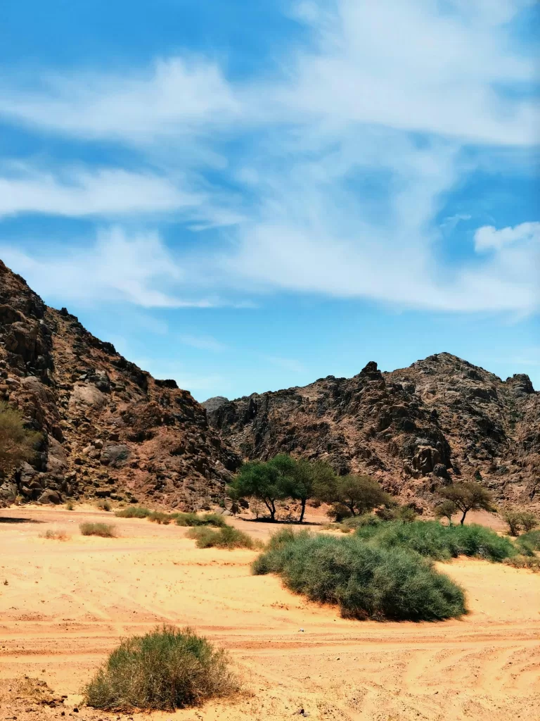 الزراعة في المناطق الحارة