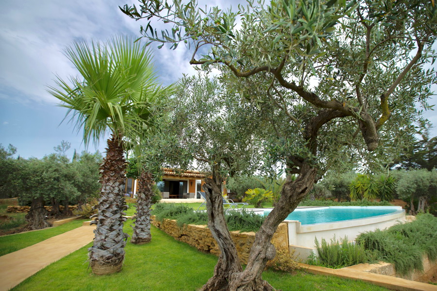 Villa Trees